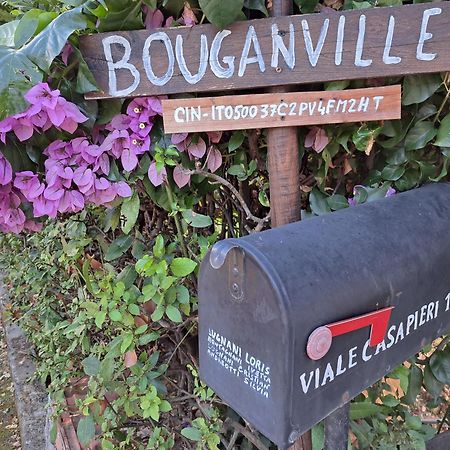 Casa Vacanze “Bouganville” Loc Avane Pisa Vecchiano Exteriör bild