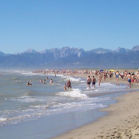 Casa Vacanze “Bouganville” Loc Avane Pisa Vecchiano Exteriör bild